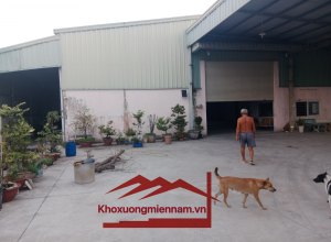 cho-thue-kho-nha-xuong-650m2-tai-tran-dai-nghia-65-trieu-binh-chanh-gia-tot