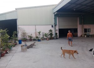 cho-thue-kho-nha-xuong-650m2-tai-tran-dai-nghia-65-trieu-binh-chanh-gia-tot