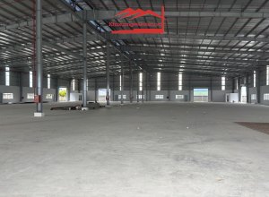 kho-xuong-cho-thue-duong-ho-hoc-lam-phuong-an-lac-quan-binh-tan-dien-tich-da-dang-duong-xe-container-2424