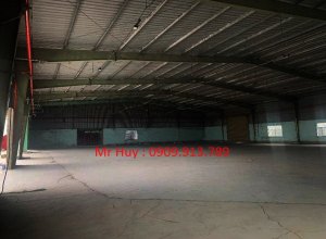 cho-thue-kho-xuong-cum-xuong-10000m2-tan-kien-binh-chanh