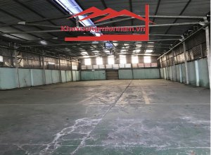 kho-xuong-cho-thue-duong-ho-hoc-lam-phuong-an-lac-quan-binh-tan-dien-tich-da-dang-duong-xe-container-2424