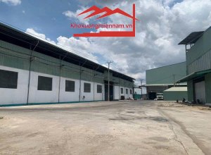 cho-thue-kho-xuong-da-dang-dien-tich-2000300050007000m2-khuon-vien-rong-rai-20000m2-duong-do-trinh-thoai-thu-thua-long-an-xe-container-2424