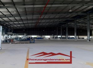 cho-thue-kho-xuong-5000m2-duong-tinh-835c-xa-phuoc-van-huyen-can-duoc-duong-xe-container-2424
