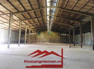 cho-thue-kho-xuong-hon-13000m2-ap-my-loc-huyen-can-giuoc-long-an-xe-container-2424