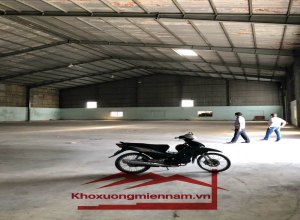 cho-thue-kho-xuong-nhieu-dien-tich-voi-khuon-vien-lon-20000m2-duong-tran-dai-nghia-tan-nhut-binh-chanh-xe-container-2424