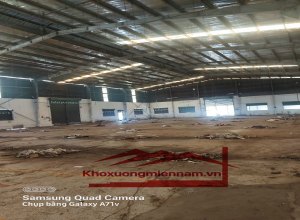 cho-thue-kho-xuong-dien-tich-kho-4000m2-duong-nguyen-cuu-phu-binh-tan-thuan-tien-ra-cao-toc-xe-container-2424
