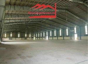 cho-thue-kho-xuong-dien-tich-kho-2648m2-khuon-vien-lon-30000m2-duong-tl830-xluong-binh-hben-luc-long-an-xe-container-2424