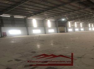 cho-thue-kho-xuong-khu-cong-nghiep-tan-duc-dien-tich-kho-6000m2-tai-duc-hoa-long-an-xe-container-2424