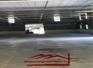 cho-thue-kho-xuong-dien-tich-kho-2400m2-duong-my-yen-ben-luc-long-an-xe-container-2424