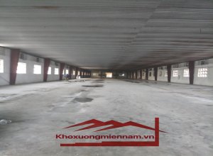 cho-thue-kho-xuong-dien-tich-kho-1000m2-2000m2-3000m2-duong-huong-lo-80-vinh-loc-b-binh-chanh-xe-container-2424