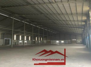 cho-thue-kho-xuong-dien-tich-kho-5000m2-duong-tran-dai-nghia-tan-nhut-binh-chanh-xe-container-2424