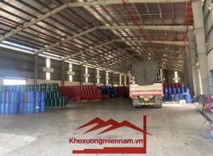 cho-thue-xuong-khuon-vien-4000m2-xuong-2080-van-phong-200m2-tai-kcn-hai-son-220-trieuthang