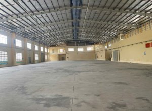 cho-thue-kho-xuong-mat-tien-tran-dai-nghia-binh-tan-khuon-vien-3600m2-nha-xuong-1700m2