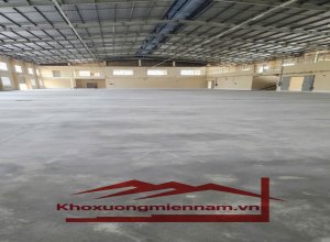 cho-thue-kho-nha-xuong-khuon-vien-5000m2-xuong-3500m2-tai-kcn-tan-tao-350-trieu-binh-tan-hcm