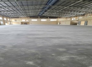 cho-thue-kho-nha-xuong-khuon-vien-5000m2-xuong-3500m2-tai-kcn-tan-tao-350-trieu-binh-tan-hcm