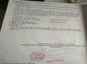ban-kho-nha-xuong-tai-lang-le-bau-co-tan-nhut-binh-chanh-185-ty-dt-12425-m2-lh-0909913789