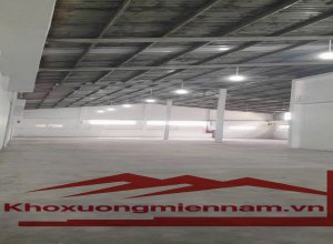 cho-thue-kho-nha-xuong-1200-m2-tai-vinh-loc-b-binh-chanh-80-trieu-lh-0909913789