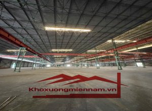 cho-thue-nha-kho-xuong-tai-khu-tap-trung-kho-xuong-san-xuat-thuoc-thi-tran-ben-luc-long-an