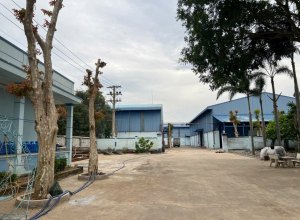 cho-thue-xuong-tinh-lo-830c-ben-luc-long-an-dt-nha-xuong-6000m2-khuon-vien-dat-15000m2