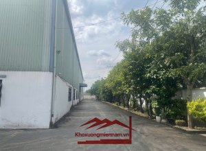 cho-thue-xuong-can-duoc-long-an-duong-xe-cong-hai-bon-gio-khuon-vien-5000-dien-tich-xuong-xay-dung-duoc-3000-phong-chay-chua-chay-vach-tuong-nghiem-thu-binh-dien-1000-kva-van-phong-200m2-dat-skc-xuong-hoan-cong-day-du-vi-tri-gan-cang-phuoc-dong-khu-cong-n