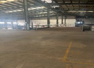 cho-thue-kho-xuong-kcn-duc-hoa-dien-tich-lon-6000m2-pccc-nghiem-thu-dien-1000kva